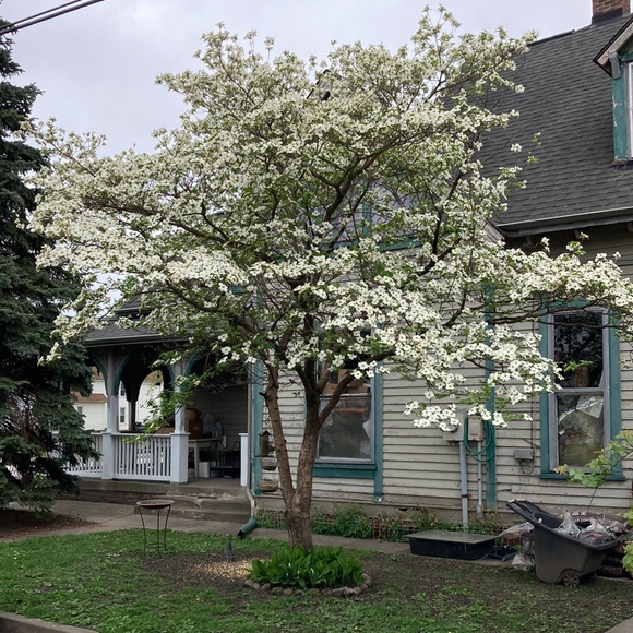 Meet your Posher, Sue - Picture 6 of 7